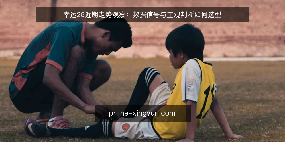 幸运28近期走势观察：数据信号与主观判断如何选型 — 近期走势中的两类信号 配图