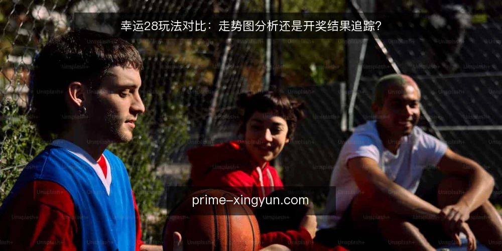 幸运28玩法对比：走势图分析还是开奖结果追踪？ — 对比选型的判断标准 配图