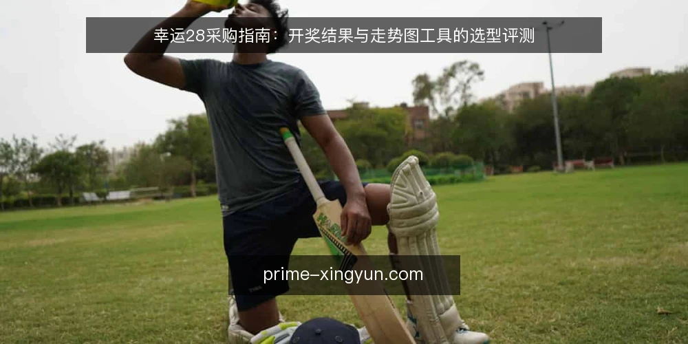 幸运28采购指南:开奖结果与走势图工具的选型评测 — 先明确数据需求边界 配图
