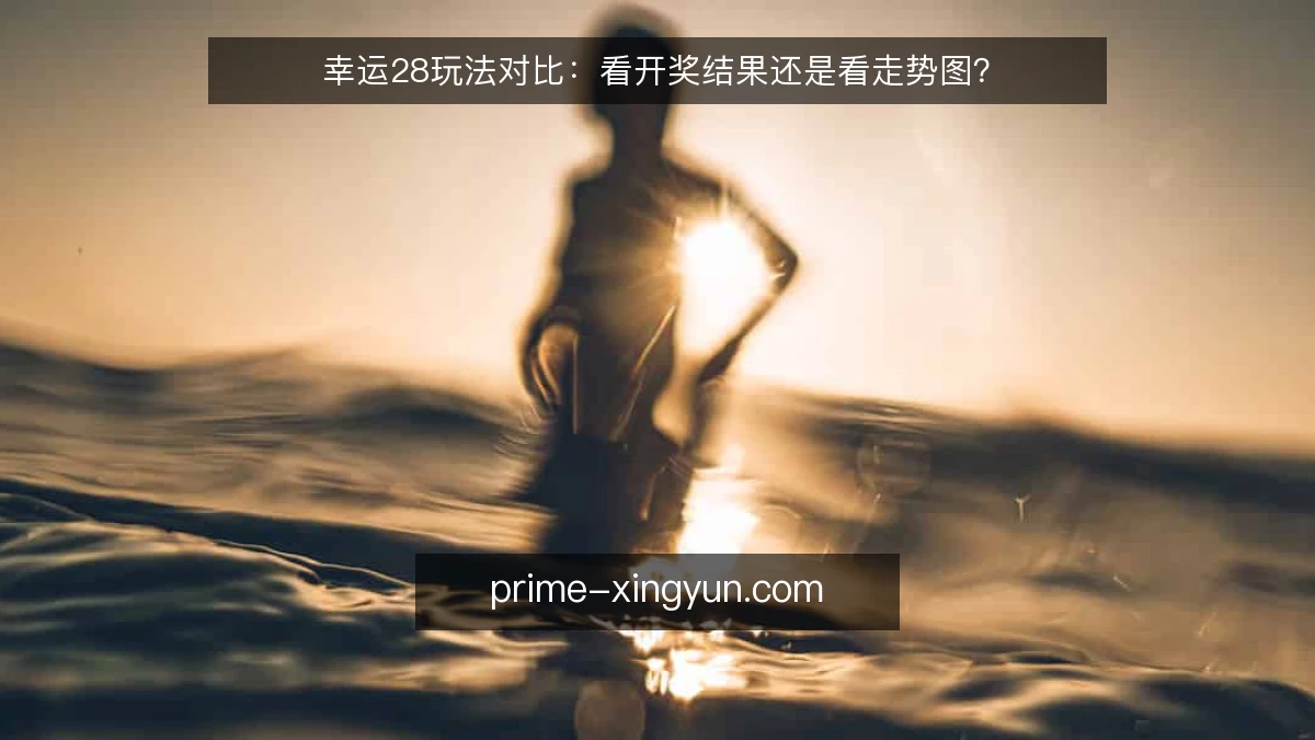 幸运28玩法对比:看开奖结果还是看走势图?